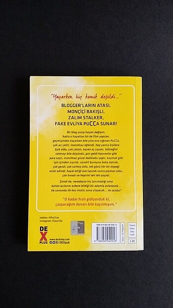  Pucca Günlük Şimdi Biz Neyiz