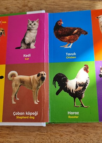  Hayvanlar Çocuk Kitabı