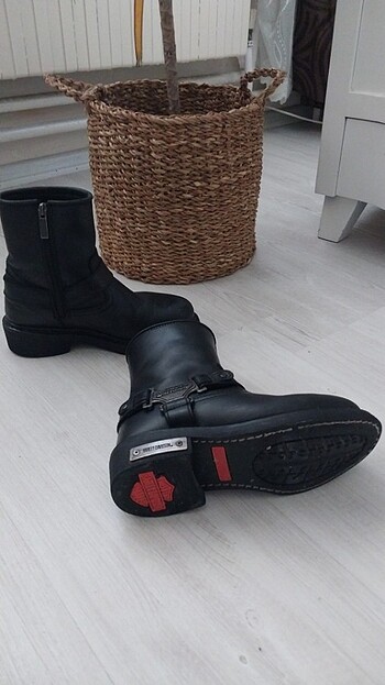 Harley Davidson Harley davidson 36 numara 