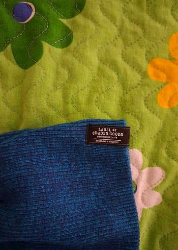 Mavi Polar Bere - Görsel 3