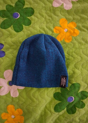 Mavi Polar Bere - Görsel 2