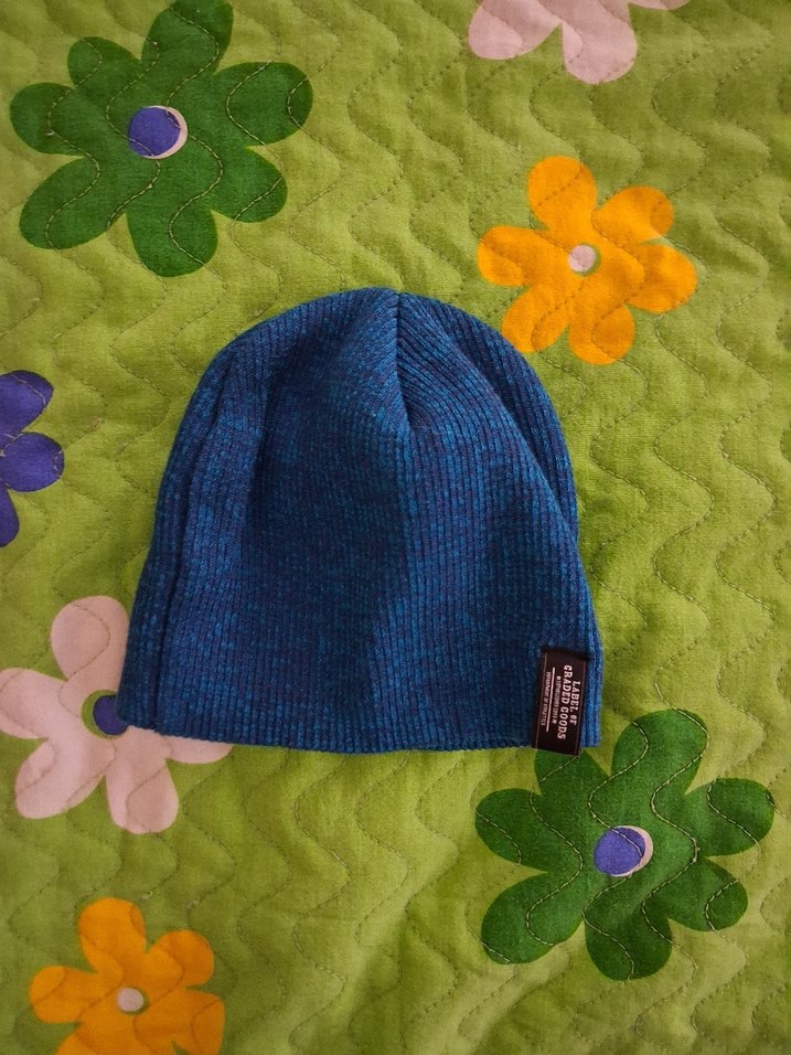 Mavi Polar Bere - Görsel 2