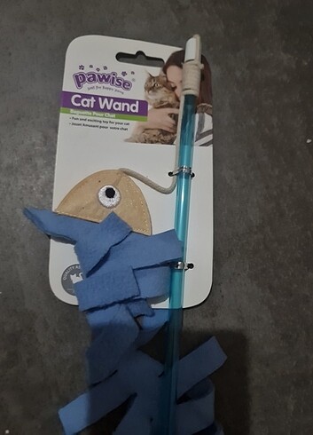 Pawise kedi oltasi 