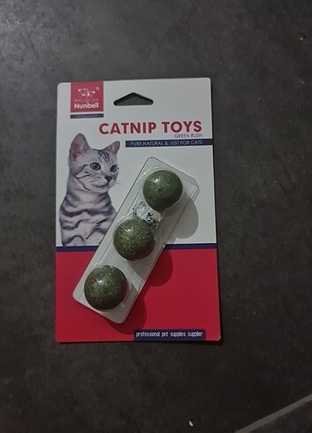 Kedi otu