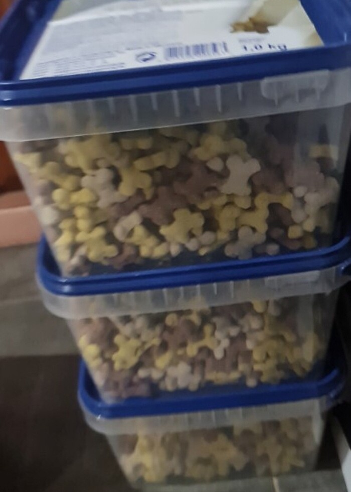 Bosch mini traning odul mamasi - Görsel 2