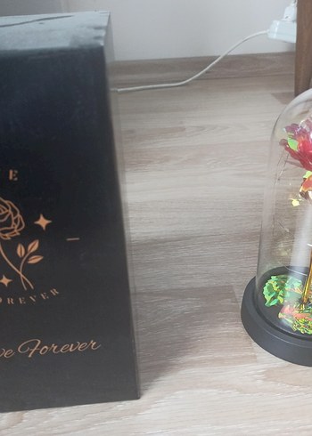 Led Işıklı Cam Fanus İçinde Gül Dekor - Görsel 5