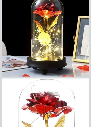 Led Işıklı Cam Fanus İçinde Gül Dekor - Görsel 3