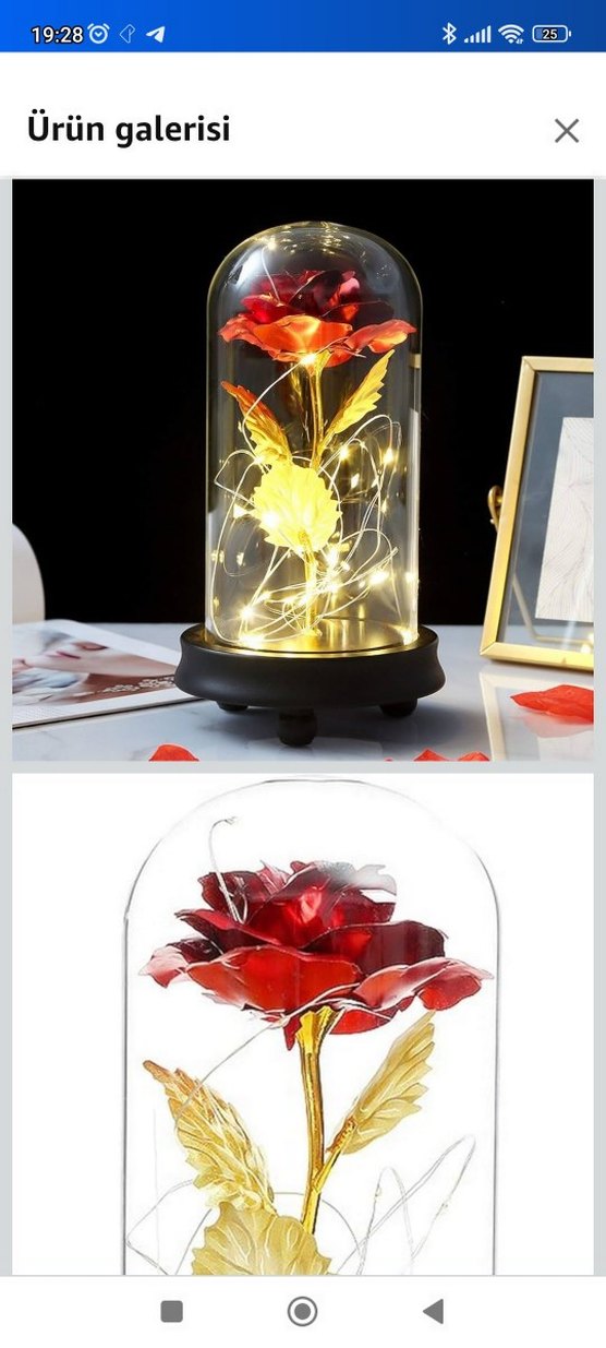 Led Işıklı Cam Fanus İçinde Gül Dekor - Görsel 3
