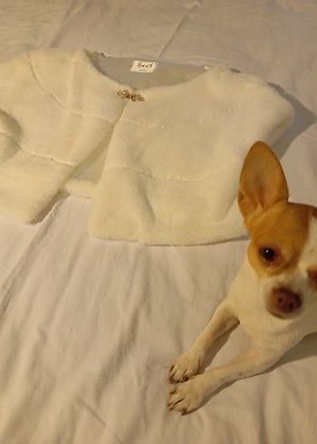 Beyaz Kürk Detaylı Bolero - Görsel 4