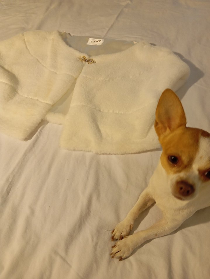 Beyaz Kürk Detaylı Bolero - Görsel 4