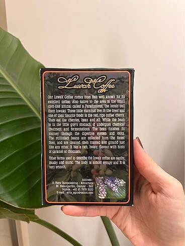 Diğer Orijinal Bali Luwak Kahvesi