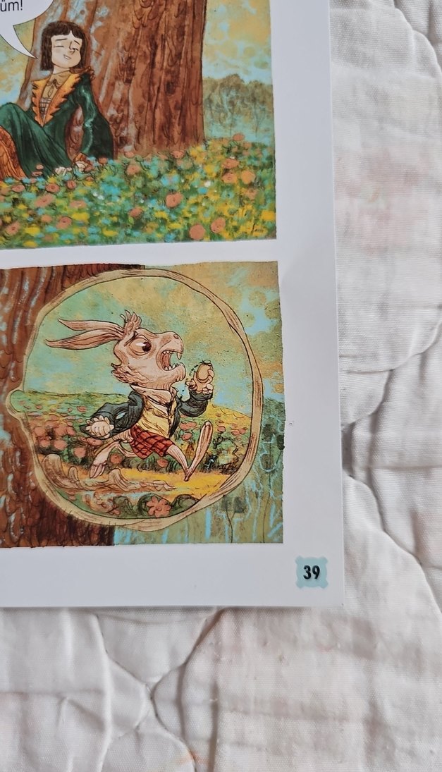 Alice Harikalar Diyarında cizgi roman - Görsel 3