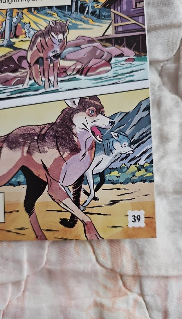 Vahşetin Çağrısı - Jack London çizgi roman - Görsel 5