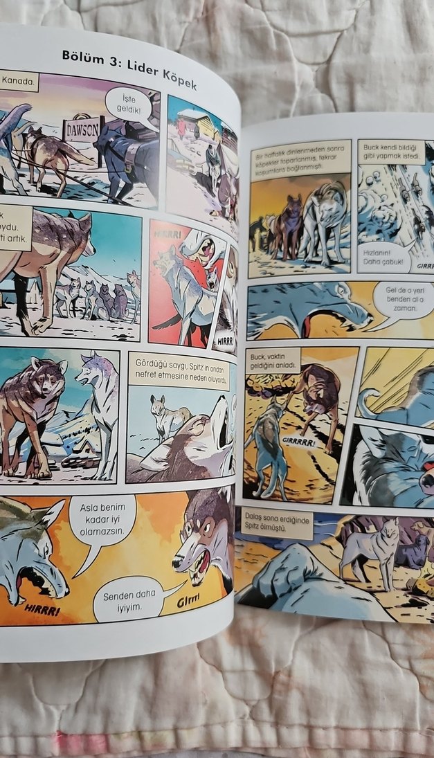 Vahşetin Çağrısı - Jack London çizgi roman - Görsel 4