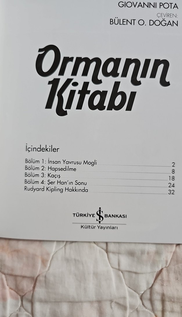 Ormanın Kitabı - Çizgi roman - Görsel 2
