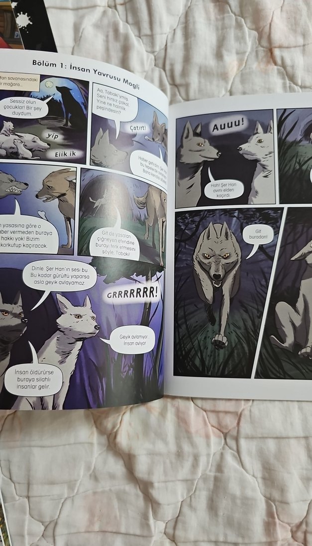 Ormanın Kitabı - Çizgi roman - Görsel 4