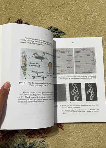 Beden Genel Mikrobiyoloji Kitabı - Prof. Dr. Sami Özçelik