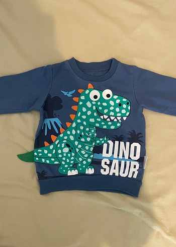 Erkek Çocuk Renkli Dinozor Baskılı Sweatshirt