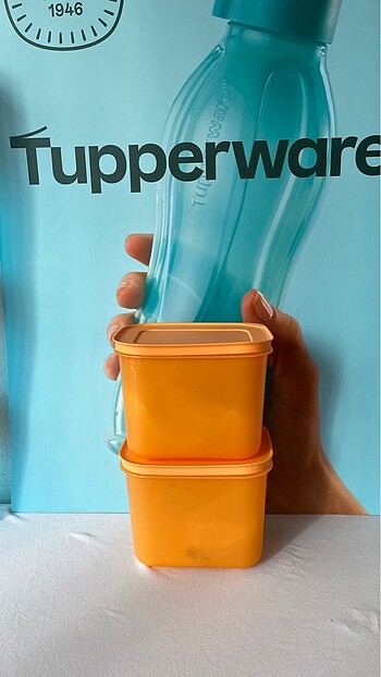 Tupperware Alaska 2?li set