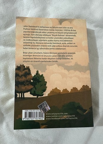 Gazap Üzümleri - John Steinbeck - Görsel 2