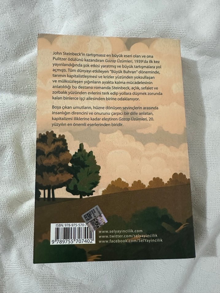 Gazap Üzümleri - John Steinbeck - Görsel 2