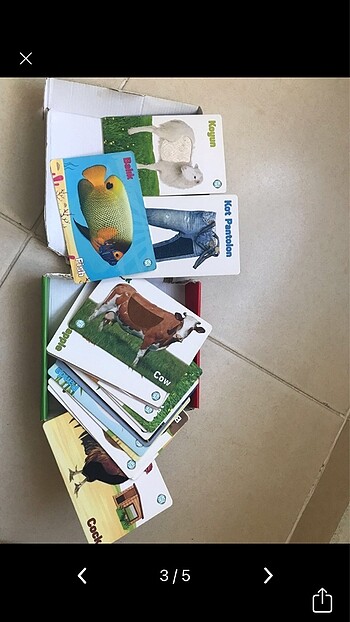  Beden Dokun hisset kartları