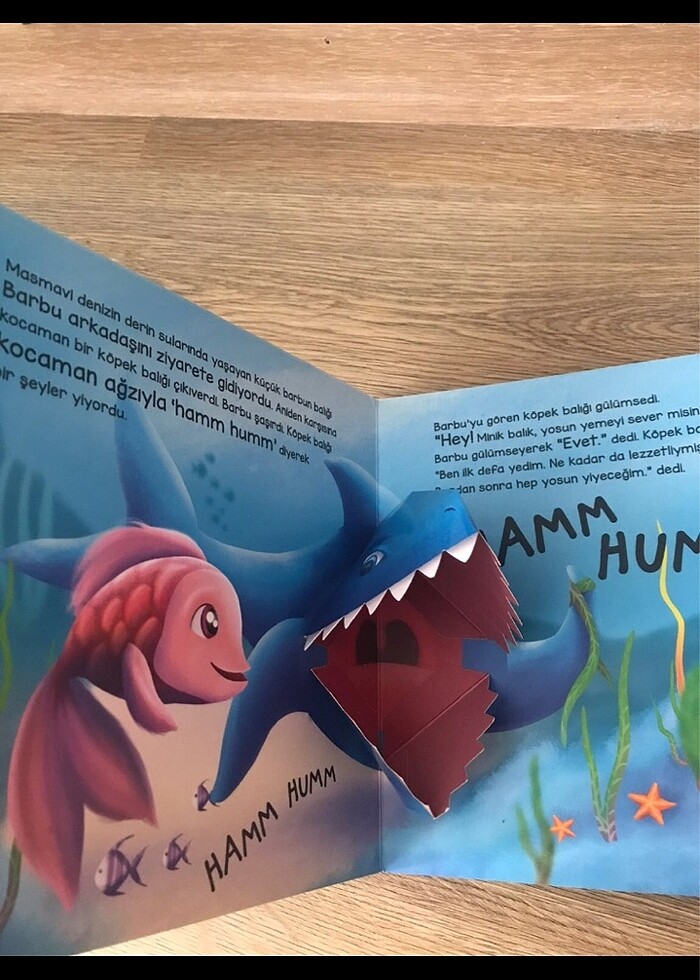 Çocuk kitap - Görsel 5
