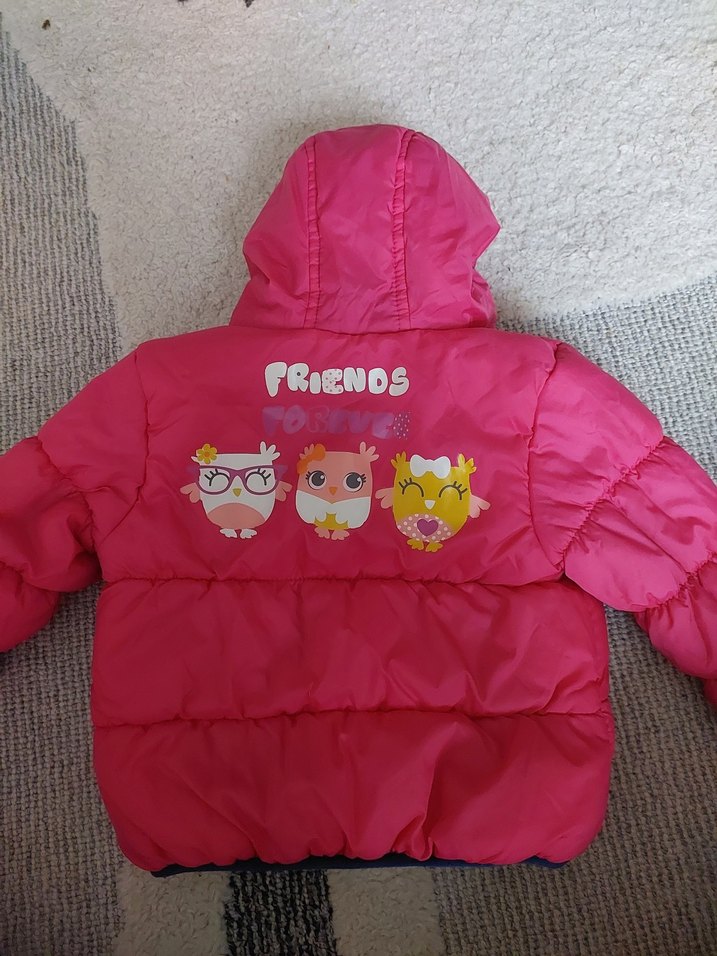 Kız Çocuk Kapüşonlu Fermuarlı Renkli Mont - Görsel 2