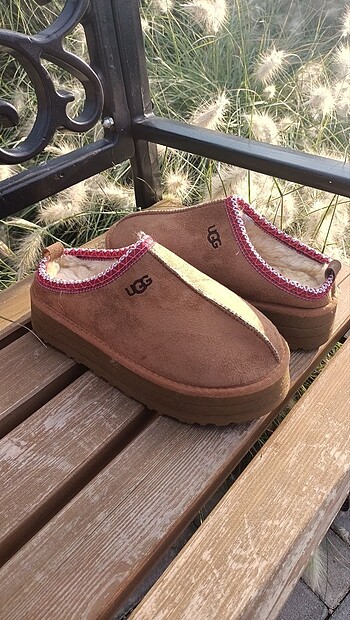 Ugg UGG Tazz Slipper Terlik Taba