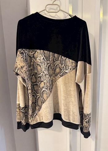 zara 38