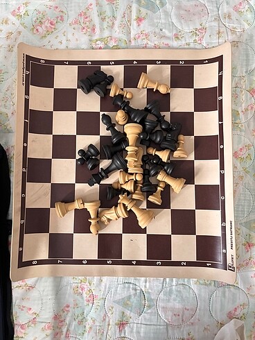 Beden Satranç takımı