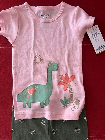 Carters alt üst takım