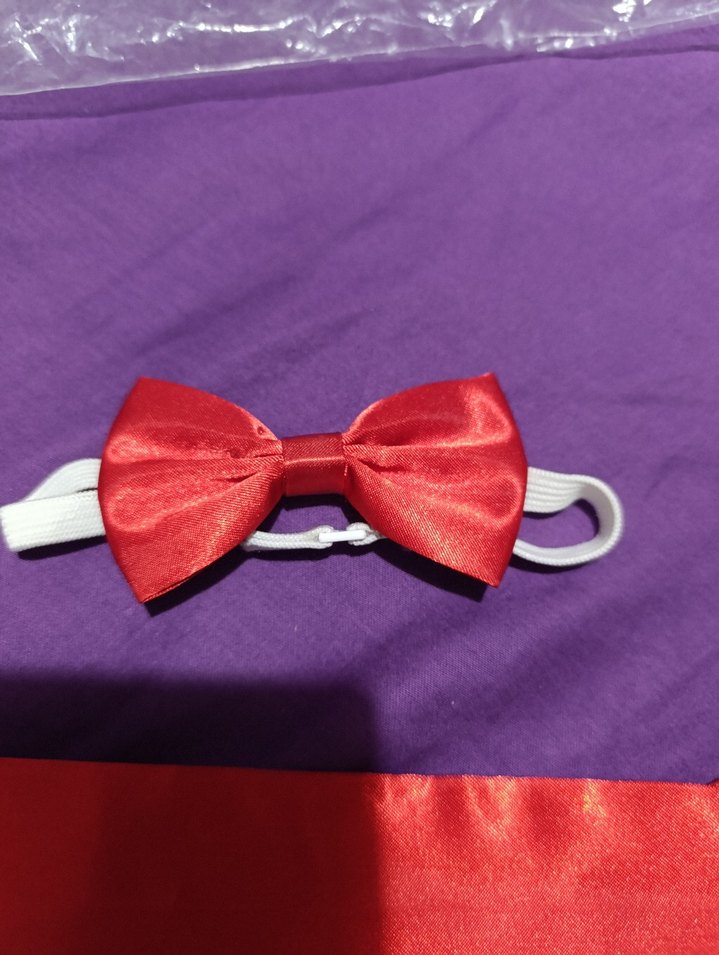 Kırmızı Saten Çocuk Papyonu ve kemeri - Görsel 2