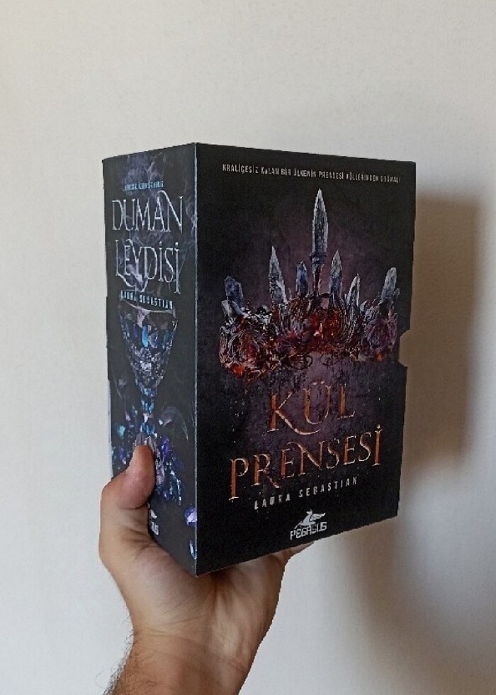 Pegasus Yayınları Kül Prensesi Serisi Kutulu Ciltli 3 Kitap - Görsel 3