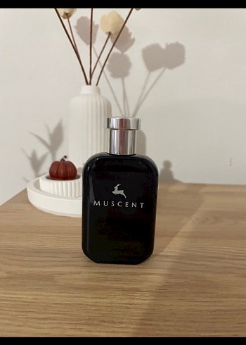 Muscent byredo blanche parfüm