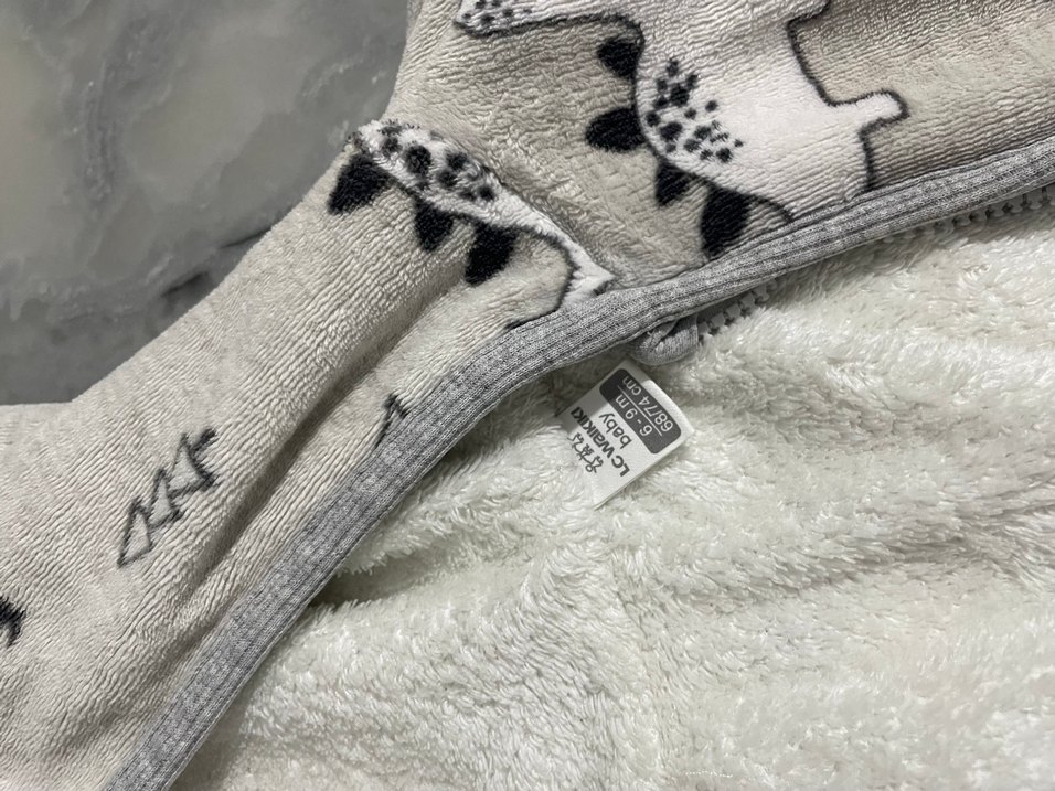 Kapüşonlu Lc waikiki - Görsel 2