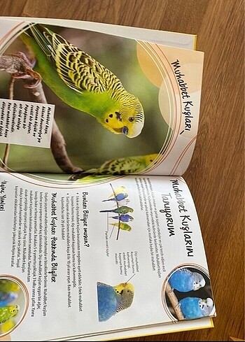 çocuk eğitici kitap