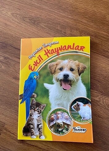 çocuk eğitici kitap