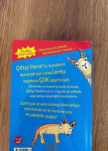 Oyuncu Lama -  Çocuk hikaye  Kitabı - Görsel 3