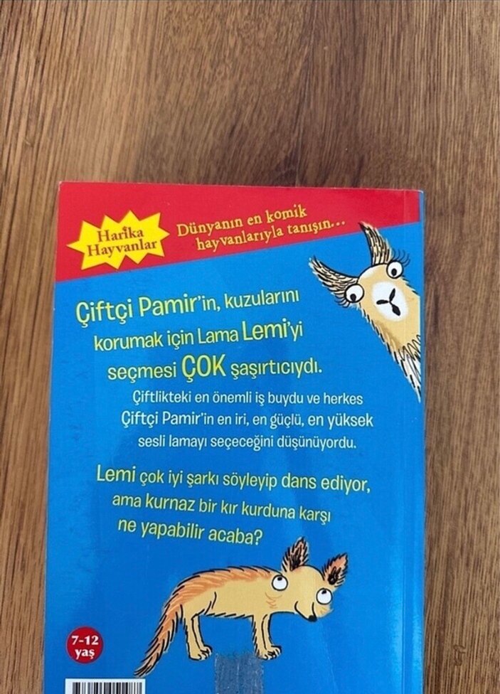 Oyuncu Lama -  Çocuk hikaye  Kitabı - Görsel 3