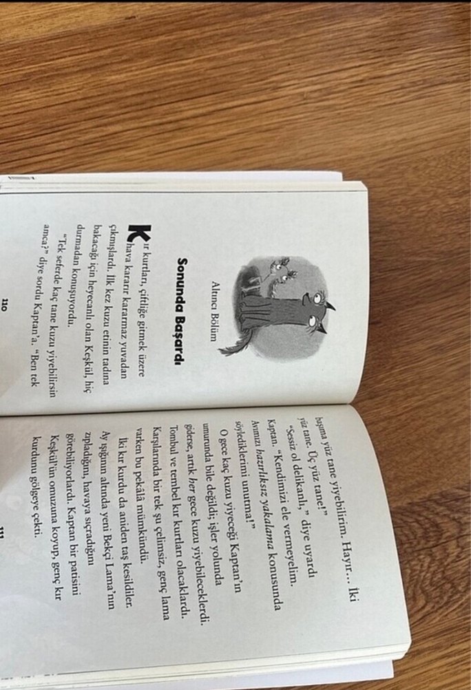 Oyuncu Lama -  Çocuk hikaye  Kitabı - Görsel 2