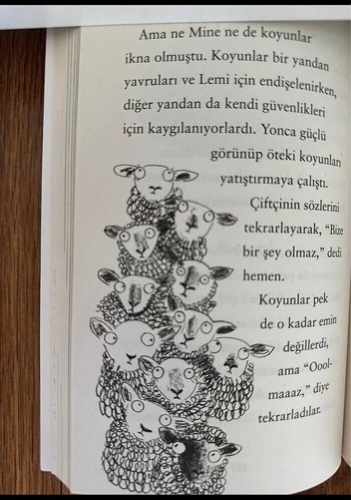 Harika Hayvanlar Oyuncu Lama Büyük Panayır - Görsel 2