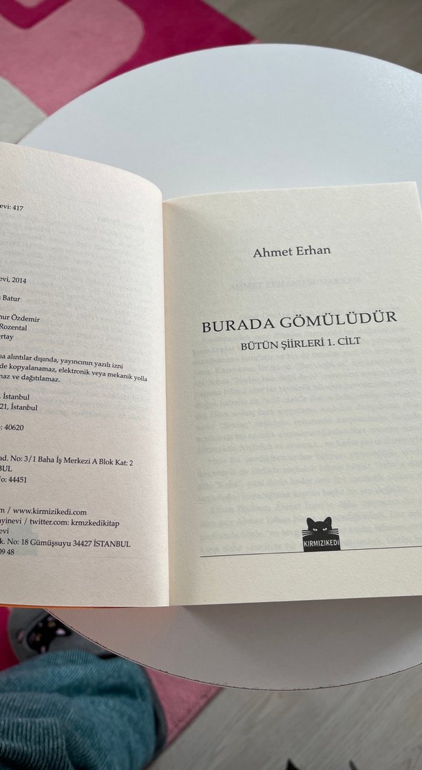 Burada Gömülüdür 1. Cilt - Ahmet Erhan - Görsel 3