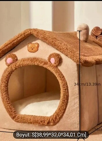Kedi evi