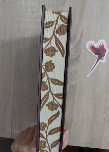 Eflal 2 kitap - Görsel 2