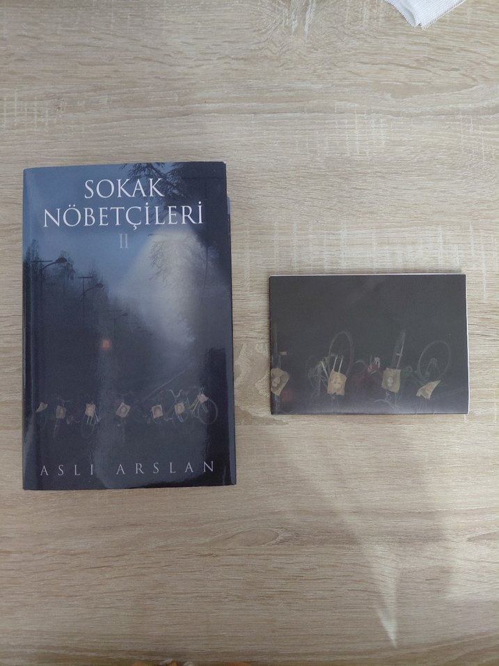 Sokak Nöbetçileri II - Aslı Arslan - Görsel 2