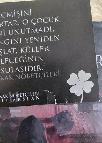 Sokak Nöbetçileri 1 kitap - Görsel 3