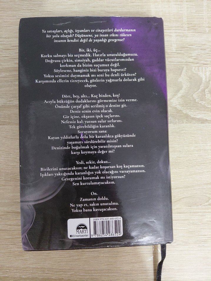 Orion - Almina Taner - Görsel 2