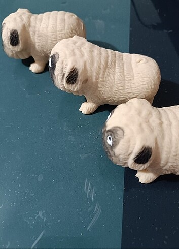 Beden Renk Her yaşa uygun elastik köpek, prens Pug