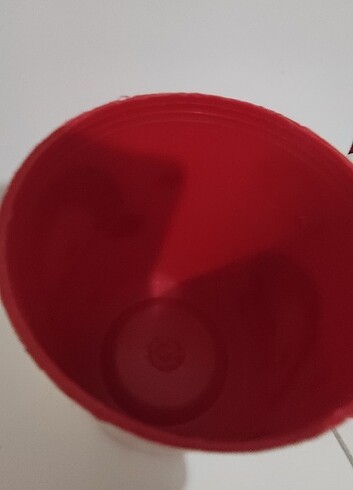 Niloya kumbara - Görsel 7